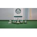 Subbuteo Andrew Table Soccer Palmeiras 2015-2016 on WSB Professional Bases